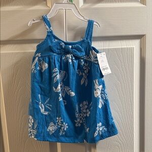 Carter's Blue and White Floral Dress
